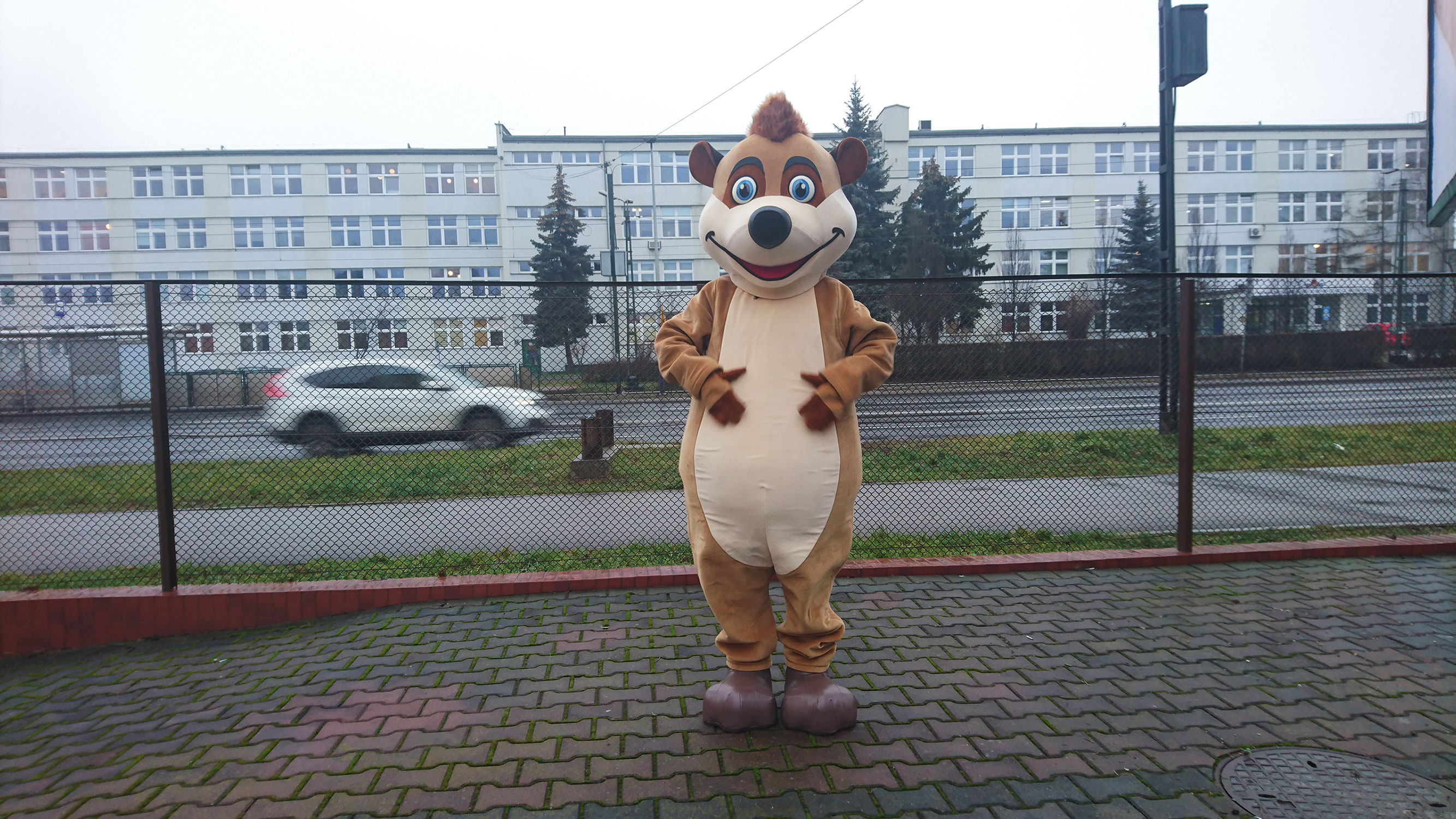 Ile będzie trzeba zapłacić za kostiumy reklamowe Elabika? Surykatka